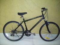 Norco Pinnacle bicycle - StephaneLapointe.com