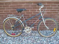 Mountain Tour Canyon Runner bicycle - StephaneLapointe.com