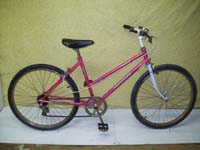 Precision PR6001 bicycle - StephaneLapointe.com