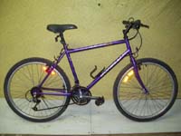 Bonelli Le Massif bicycle - StephaneLapointe.com
