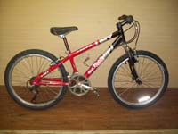 Schwinn 210-FS bicycle - StephaneLapointe.com