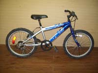 Bonelli Everest 200 bicycle - StephaneLapointe.com