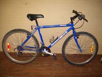 Diamond Back DB topanga bicycle - StephaneLapointe.com