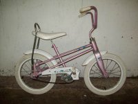 Precision  bicycle - StephaneLapointe.com