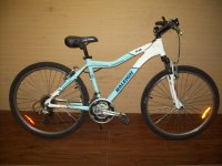 Raleigh Peak bicycle - StephaneLapointe.com