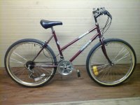 Venture Mountain Tour bicycle - StephaneLapointe.com