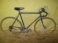 Niji Caravelle bicycle - StephaneLapointe.com