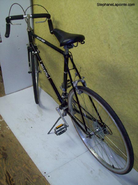 Vélo Raleigh Grand Prix - StephaneLapointe.com