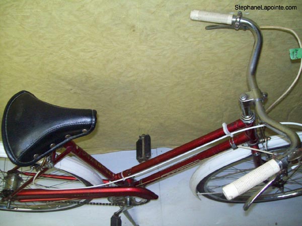 Vélo Raleigh Canadian - StephaneLapointe.com