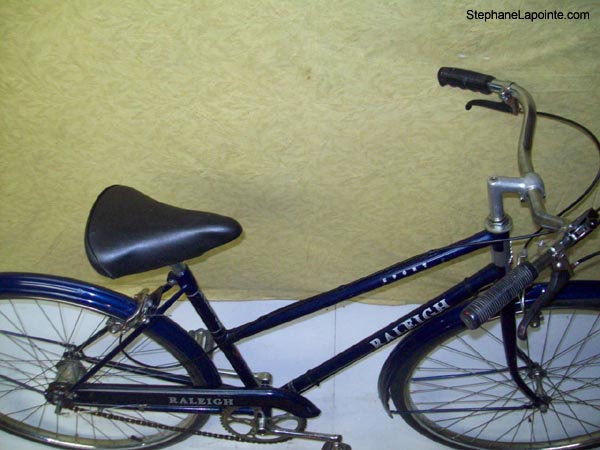 Vélo Raleigh Sports - StephaneLapointe.com