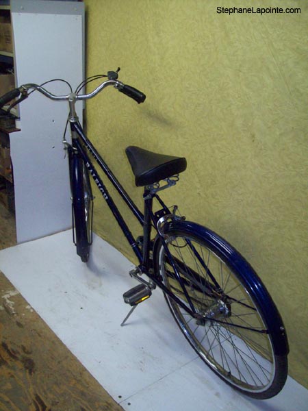 Vélo Raleigh Sports - StephaneLapointe.com
