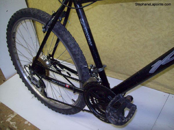 Vélo Triumph Laser - StephaneLapointe.com
