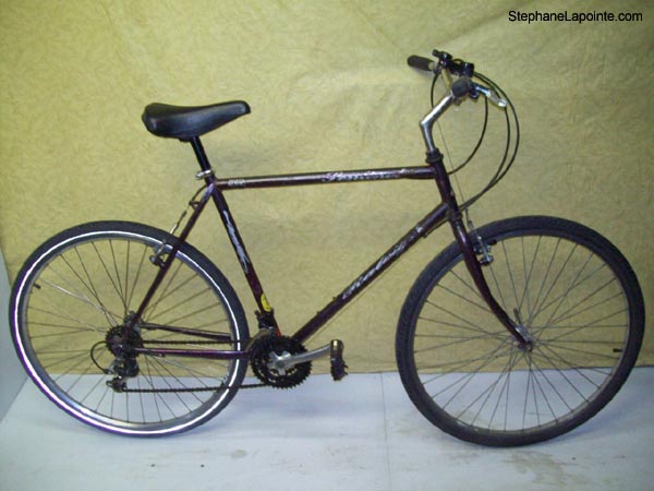 Vélo Raleigh Sentinel - StephaneLapointe.com