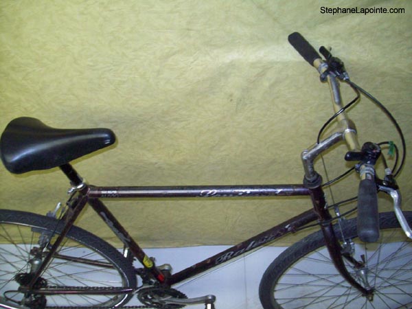 Vélo Raleigh Sentinel - StephaneLapointe.com