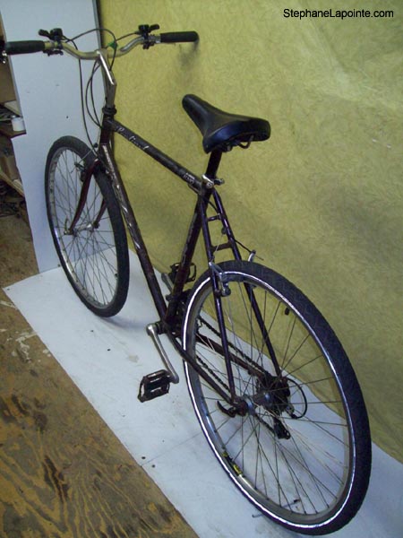 Vélo Raleigh Sentinel - StephaneLapointe.com