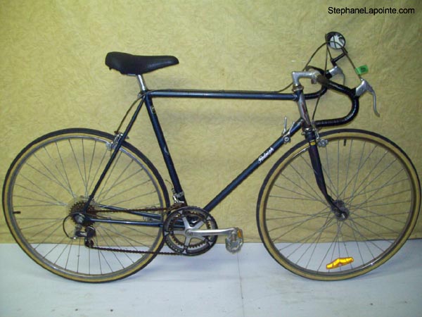 Vélo Raleigh Vector - StephaneLapointe.com