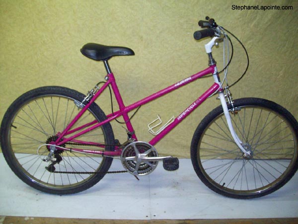 Vélo Supercycle Gemini - StephaneLapointe.com