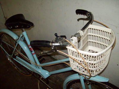 Vélo CCM Elan - StephaneLapointe.com