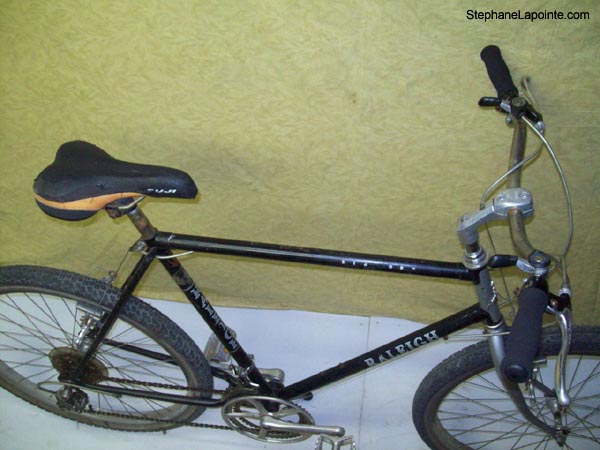 Vélo Raleigh Big Horn - StephaneLapointe.com