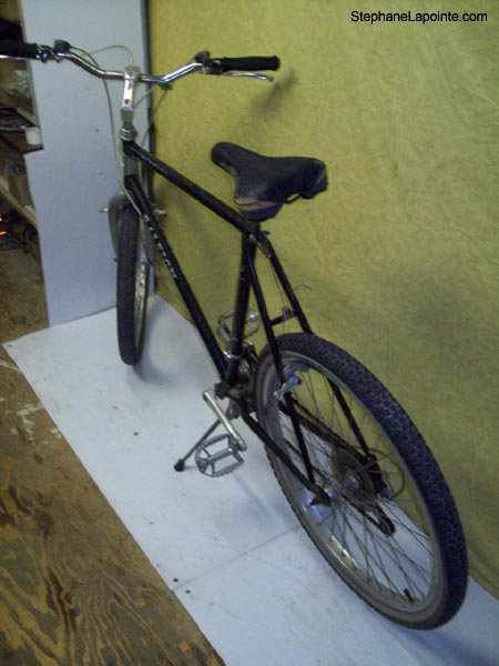 Vélo Raleigh Big Horn - StephaneLapointe.com