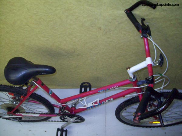Vélo Leader LE60751 - StephaneLapointe.com
