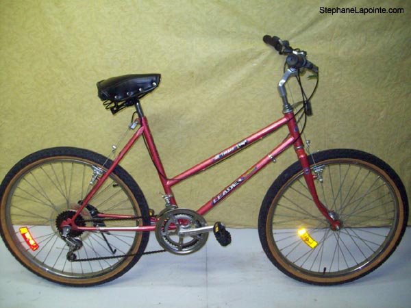 Vélo Leader LE6051 - StephaneLapointe.com