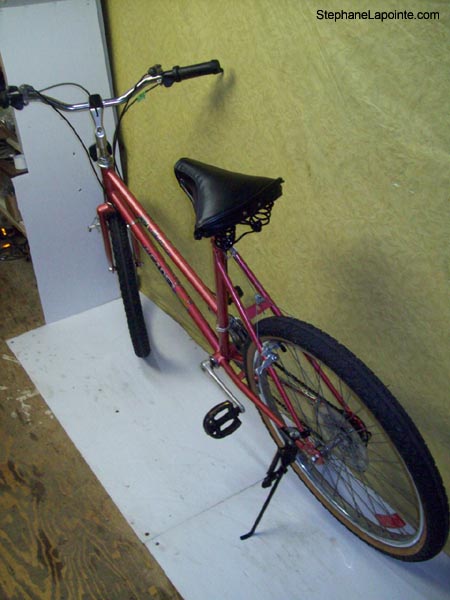 Vélo Leader LE6051 - StephaneLapointe.com