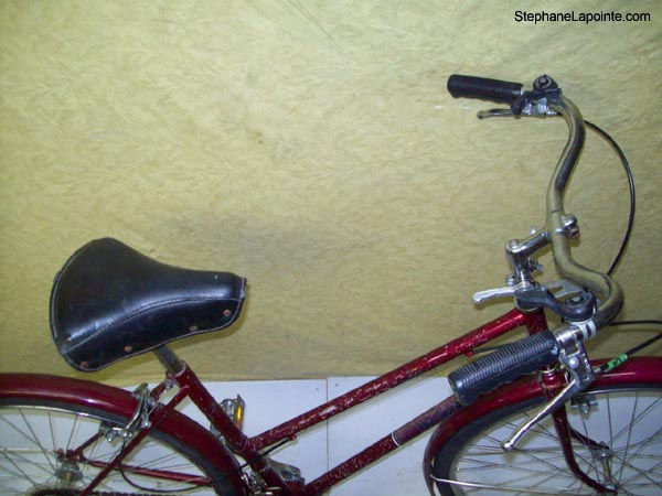 Vélo Free Spirit Britanny - StephaneLapointe.com