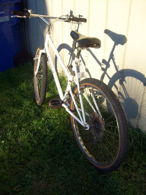 Vélo Raleigh Portage - StephaneLapointe.com
