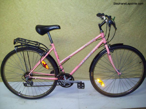 Vélo Leader LE 70741 - StephaneLapointe.com