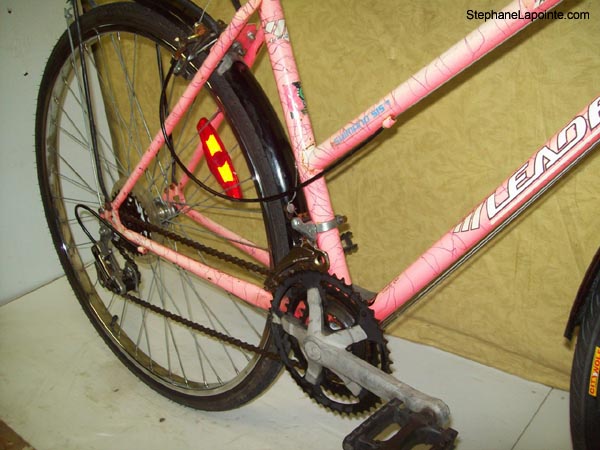 Vélo Leader LE 70741 - StephaneLapointe.com