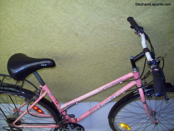 Vélo Leader LE 70741 - StephaneLapointe.com