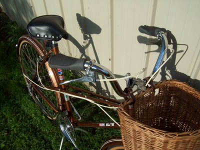 Vélo CCM Elite - StephaneLapointe.com