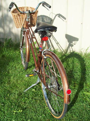 Vélo CCM Elite - StephaneLapointe.com