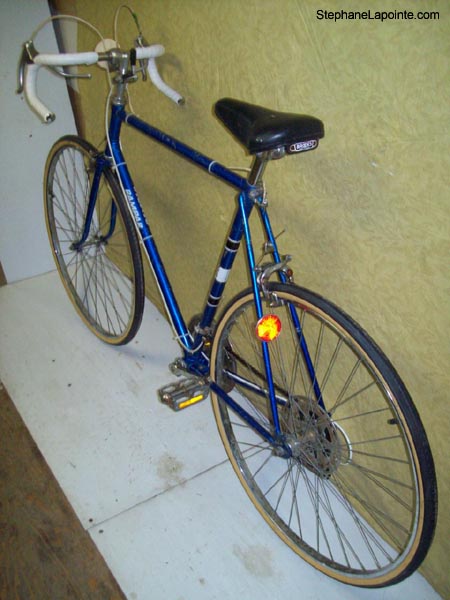 Vélo Raleigh Rampar - StephaneLapointe.com