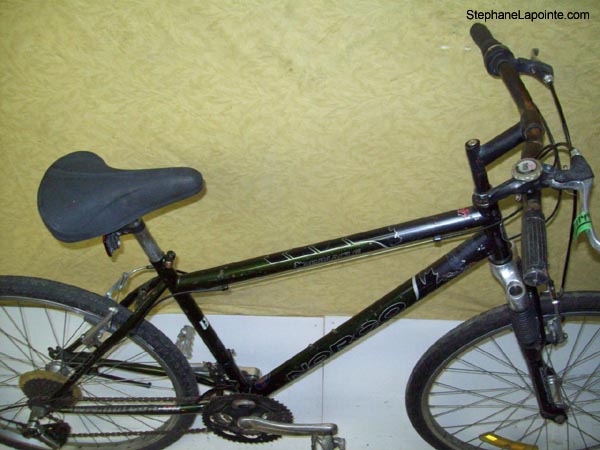 Vélo Norco Pinnacle - StephaneLapointe.com