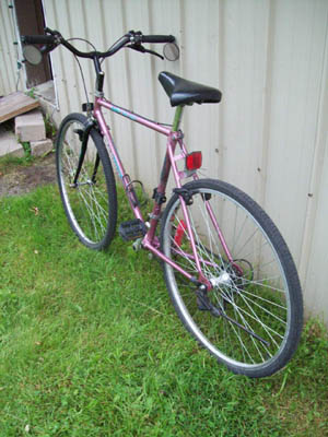 Vélo Rapido Hybride - StephaneLapointe.com