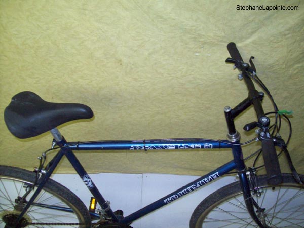 Vélo Triumph Ravine - StephaneLapointe.com