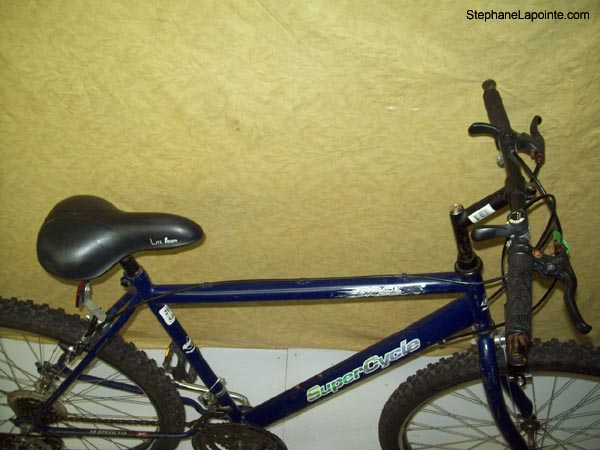 Vélo Supercycle Breeze - StephaneLapointe.com