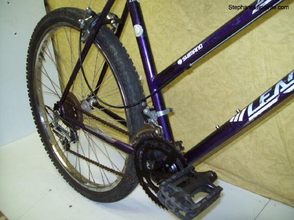 Vélo Leader LE 60731 - StephaneLapointe.com