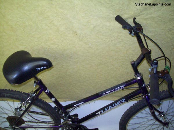 Vélo Leader LE 60731 - StephaneLapointe.com