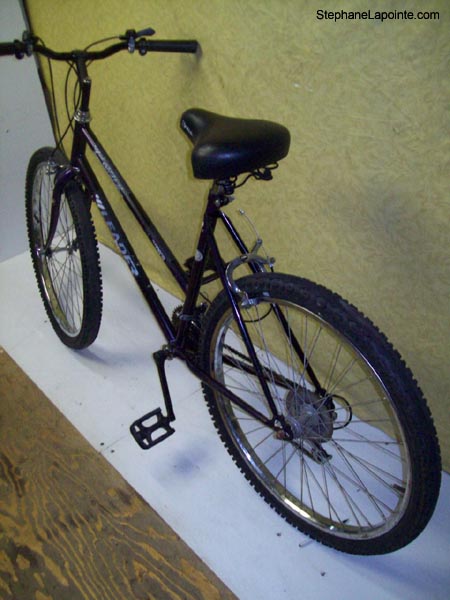 Vélo Leader LE 60731 - StephaneLapointe.com