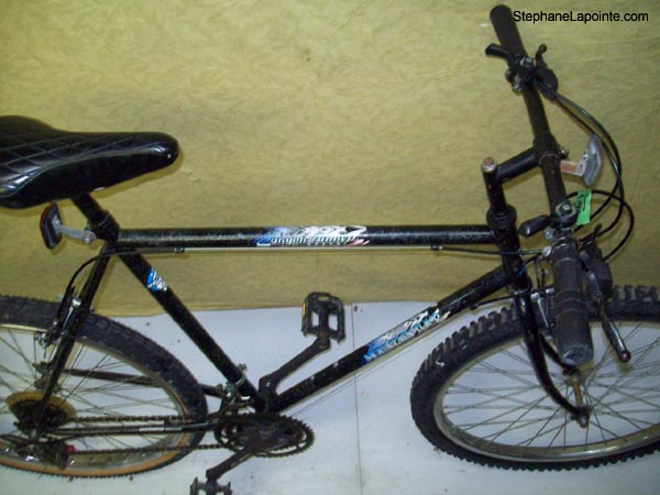 Vélo Venture Canyon Runner - StephaneLapointe.com