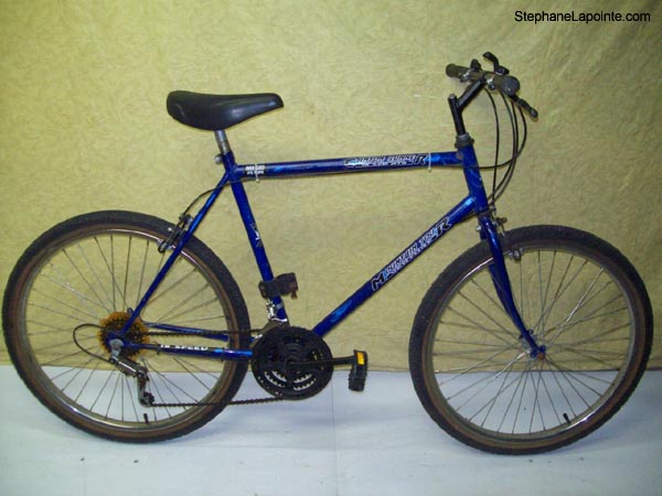 Vélo Venture Canyon Runner - StephaneLapointe.com