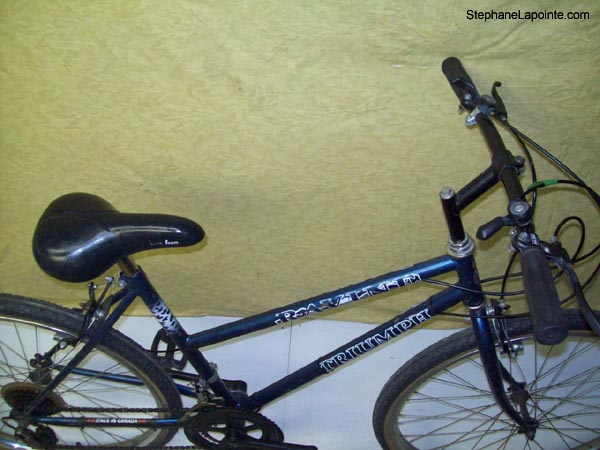 Vélo Triumph Ravine - StephaneLapointe.com