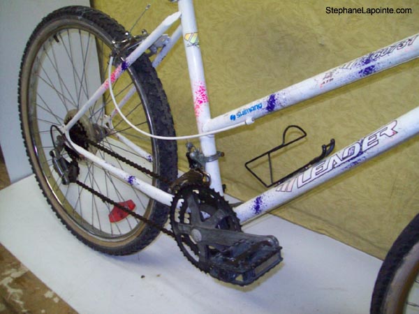 Vélo Leader LE 60731 - StephaneLapointe.com