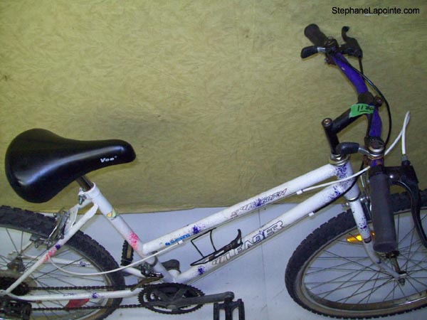 Vélo Leader LE 60731 - StephaneLapointe.com