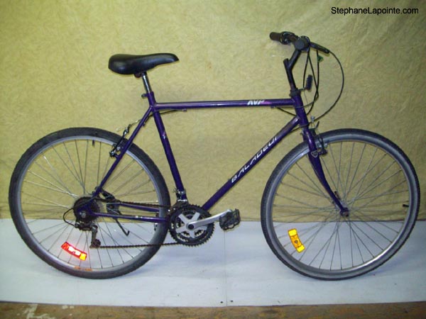 Vélo AVP Baladeur - StephaneLapointe.com