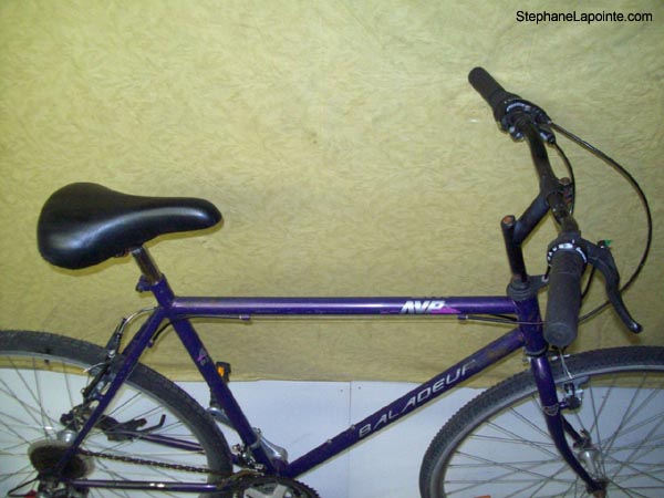 Vélo AVP Baladeur - StephaneLapointe.com
