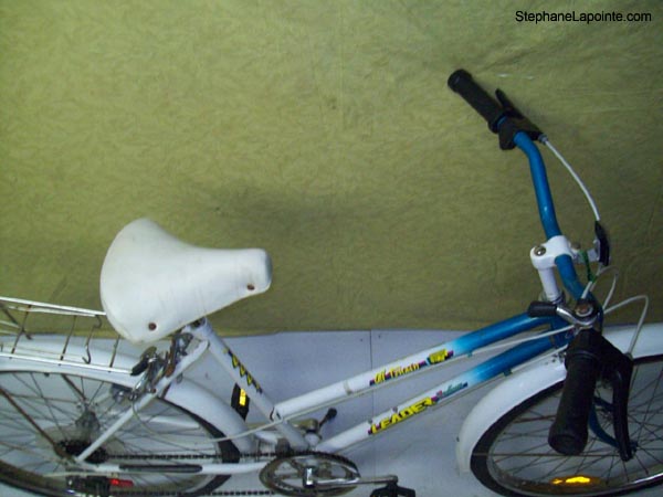 Vélo Leader LE 6001 - StephaneLapointe.com